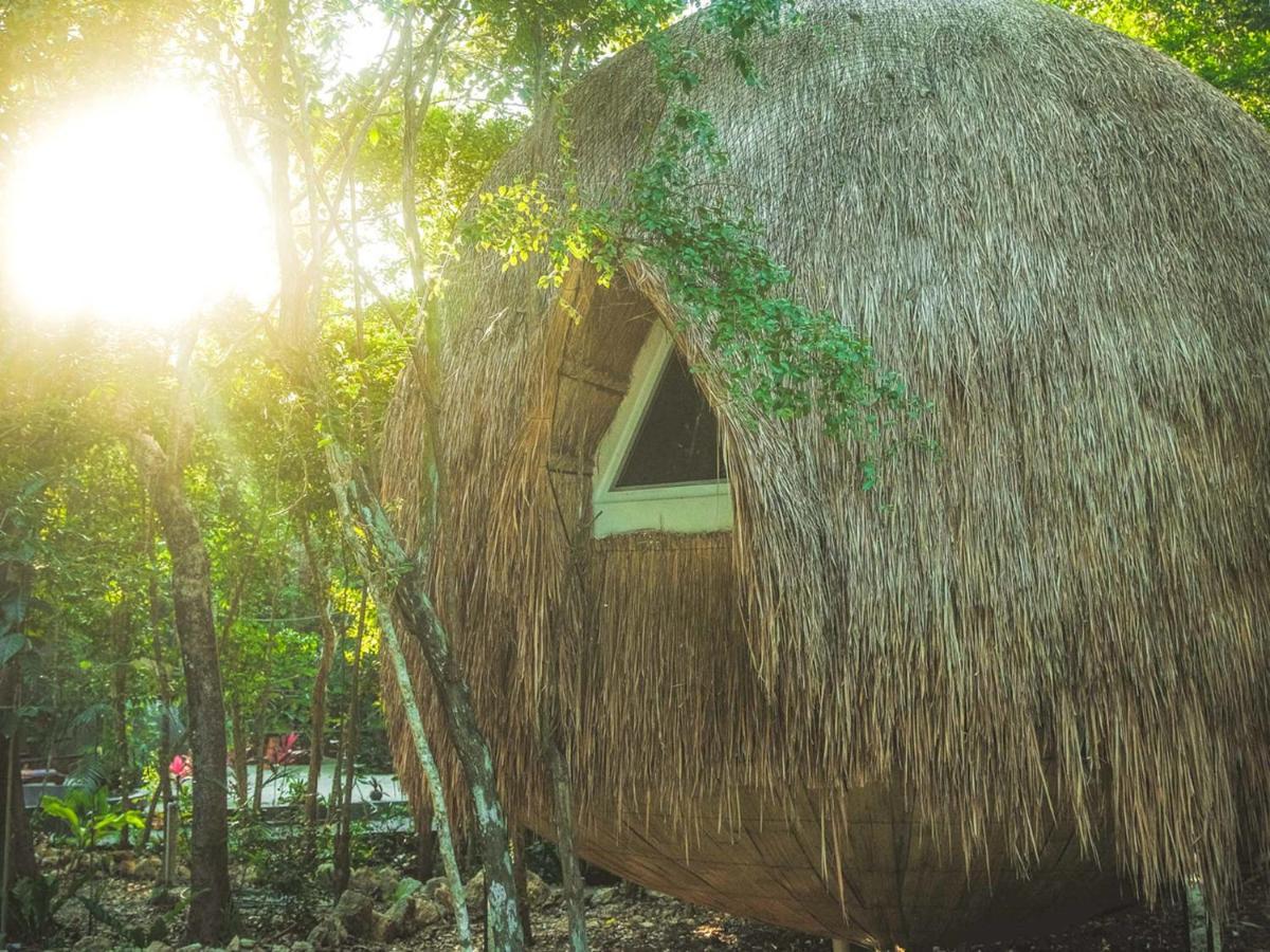 Casa Del Arbol At Villa Duendes アクマル エクステリア 写真