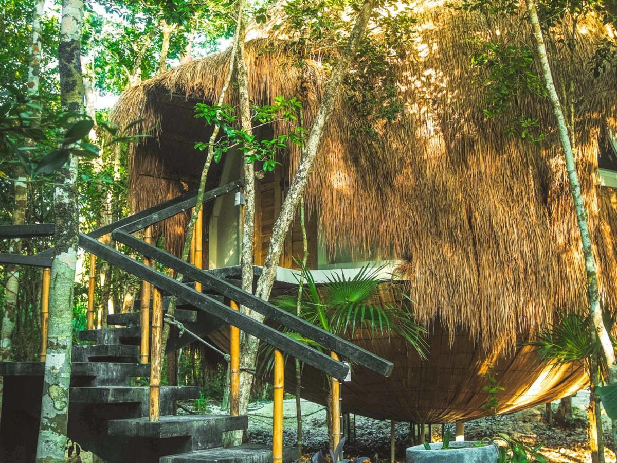 Casa Del Arbol At Villa Duendes アクマル エクステリア 写真