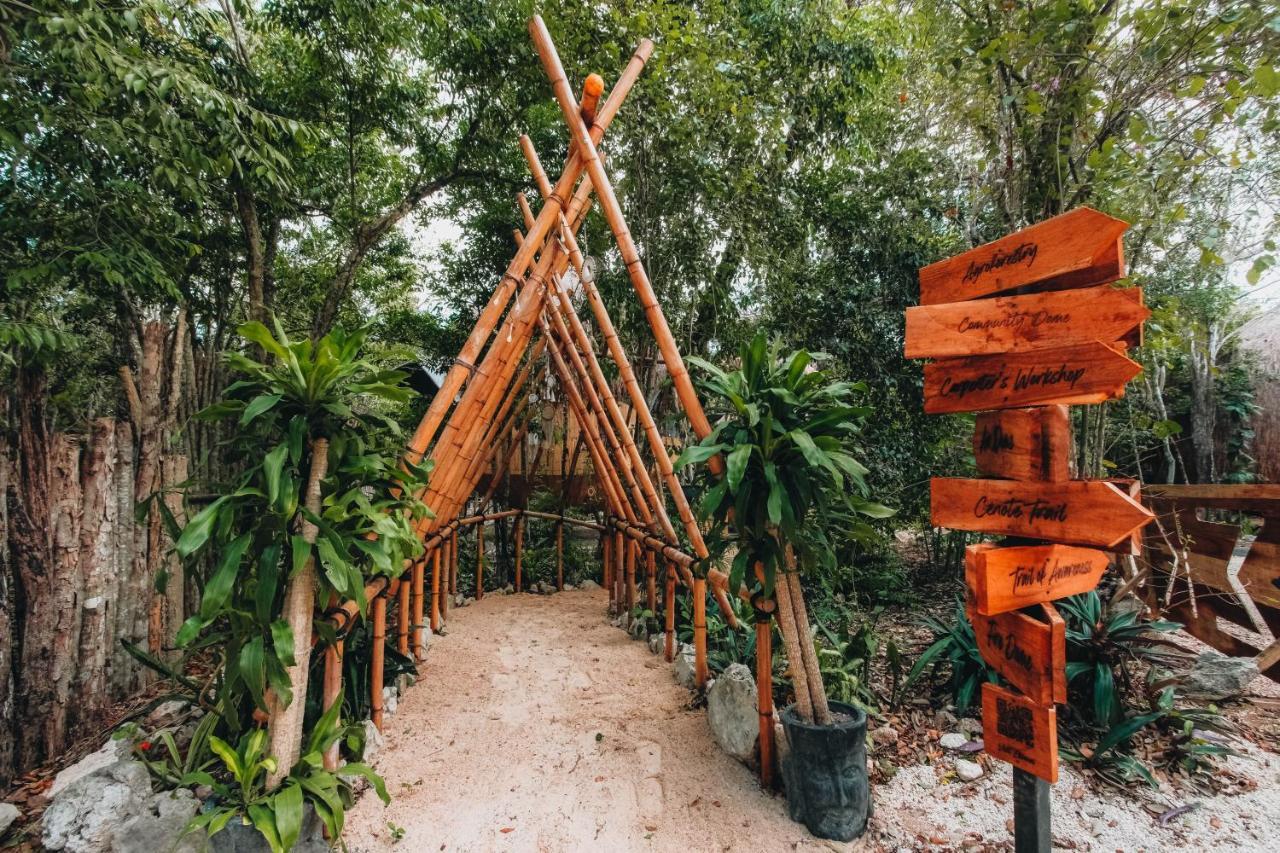 Casa Del Arbol At Villa Duendes アクマル エクステリア 写真