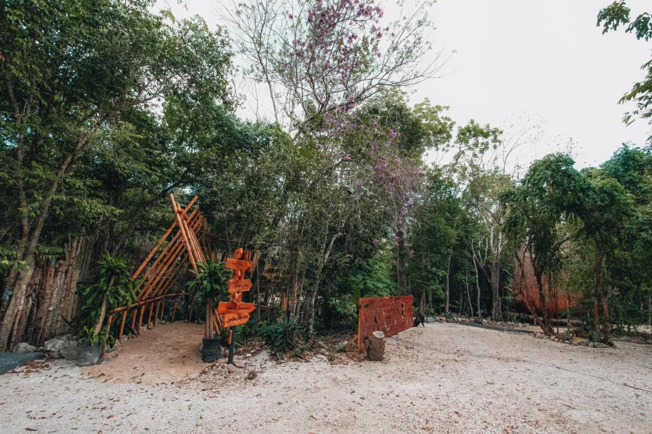 Casa Del Arbol At Villa Duendes アクマル エクステリア 写真