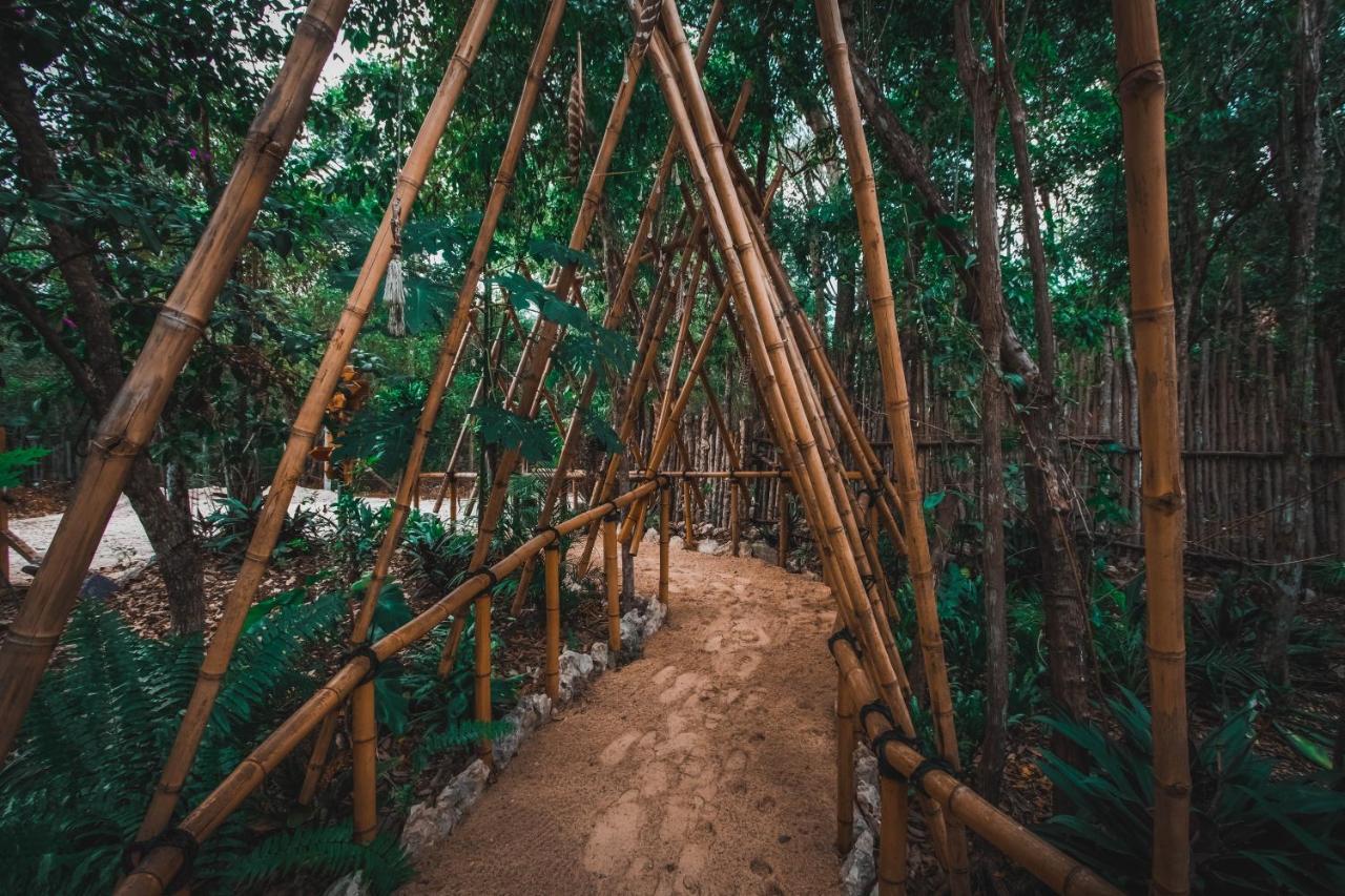 Casa Del Arbol At Villa Duendes アクマル エクステリア 写真