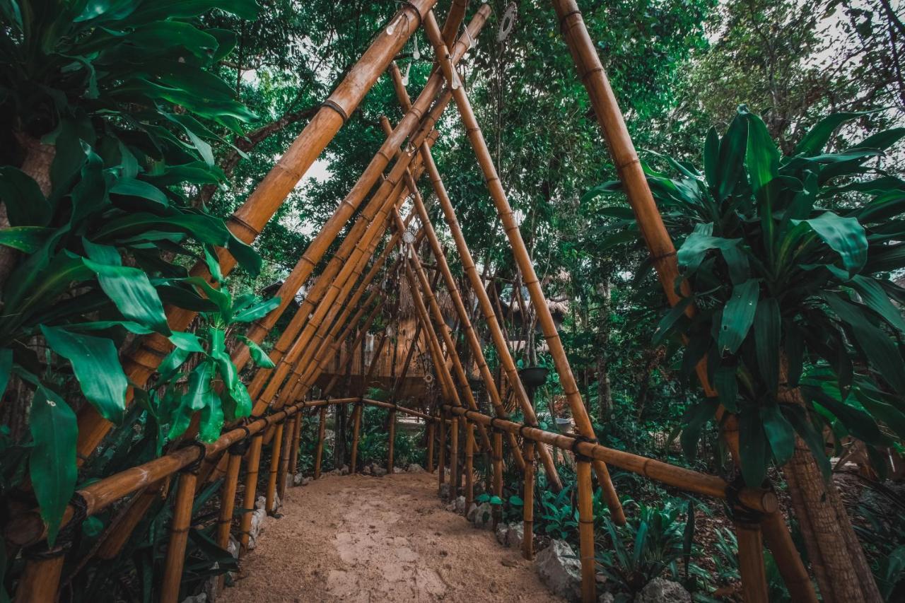 Casa Del Arbol At Villa Duendes アクマル エクステリア 写真